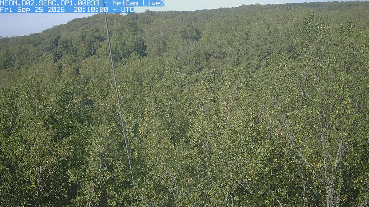 The latest daylight frame from the NEON.D02.SERC.DP1.00033 camera, 31 km from Rock Creek Park