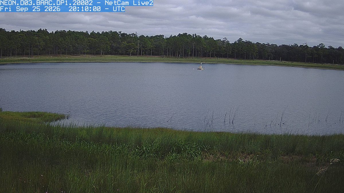 Today from the NEON.D03.BARC.DP1.20002 camera, 59 km from Ocala National Forest