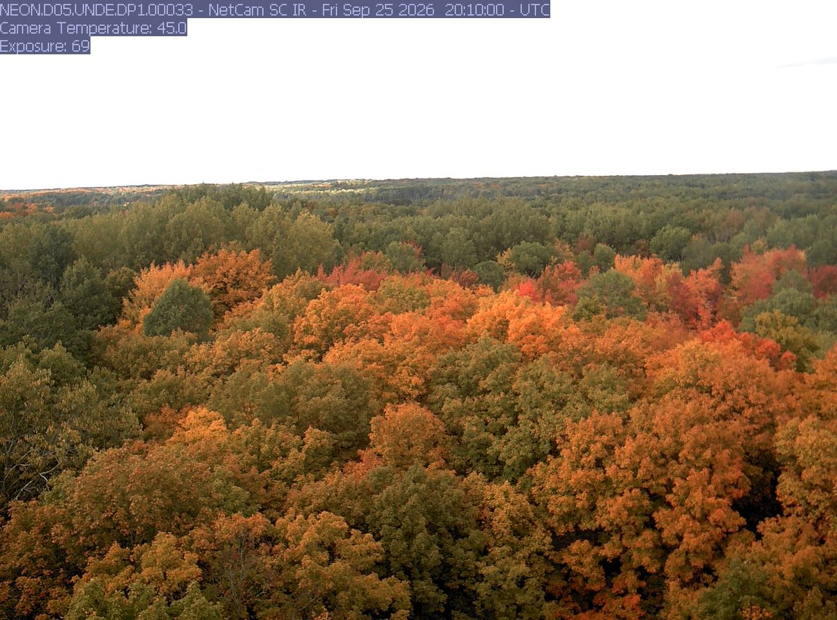 Today from the NEON.D05.UNDE.DP1.00033 camera, 39 km from Ottawa National Forest