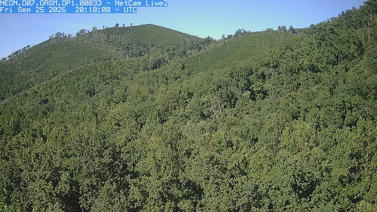 The latest daylight frame from the NEON.D07.GRSM.DP1.00033 camera, 10 km from Joyce Kilmer-Slickrock Wilderness