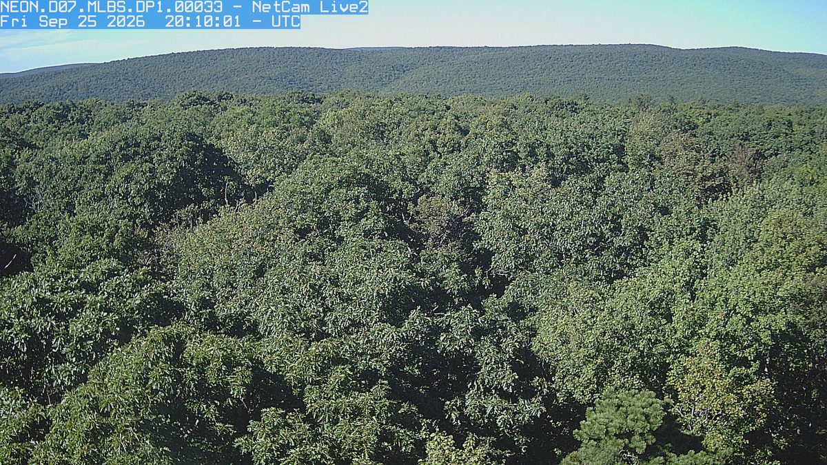 The latest daylight frame from the NEON.D07.MLBS.DP1.00033 camera, 6 km from Mountain Lake Wilderness