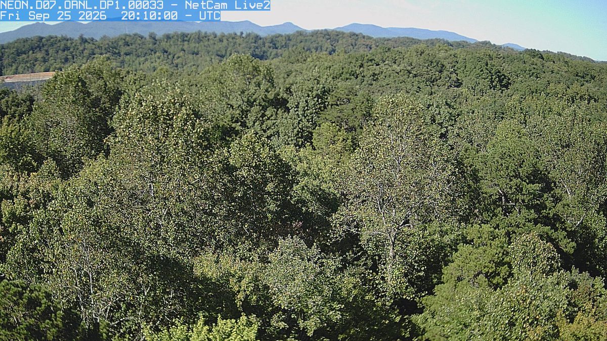 Today from the NEON.D07.ORNL.DP1.00033 camera, 45 km from Obed Wild and Scenic River