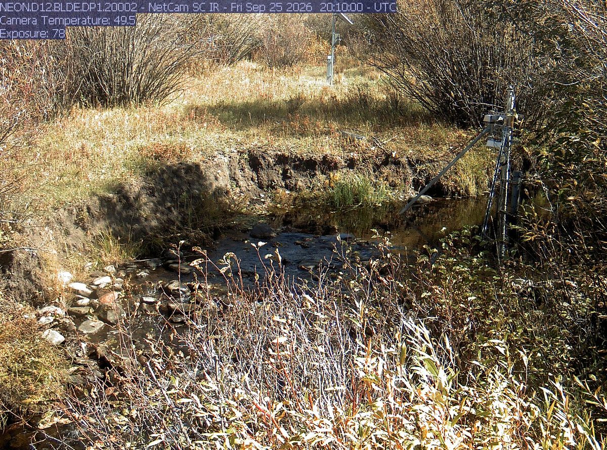 Today from the NEON.D12.BLDE.DP1.20002 camera, 39 km from Gallatin National Forest