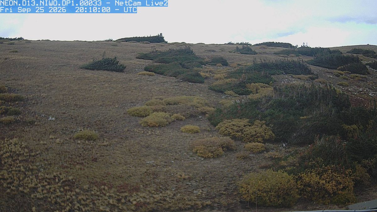 Today from the NEON.D13.NIWO.DP1.00033 camera, 8 km from Indian Peaks Wilderness