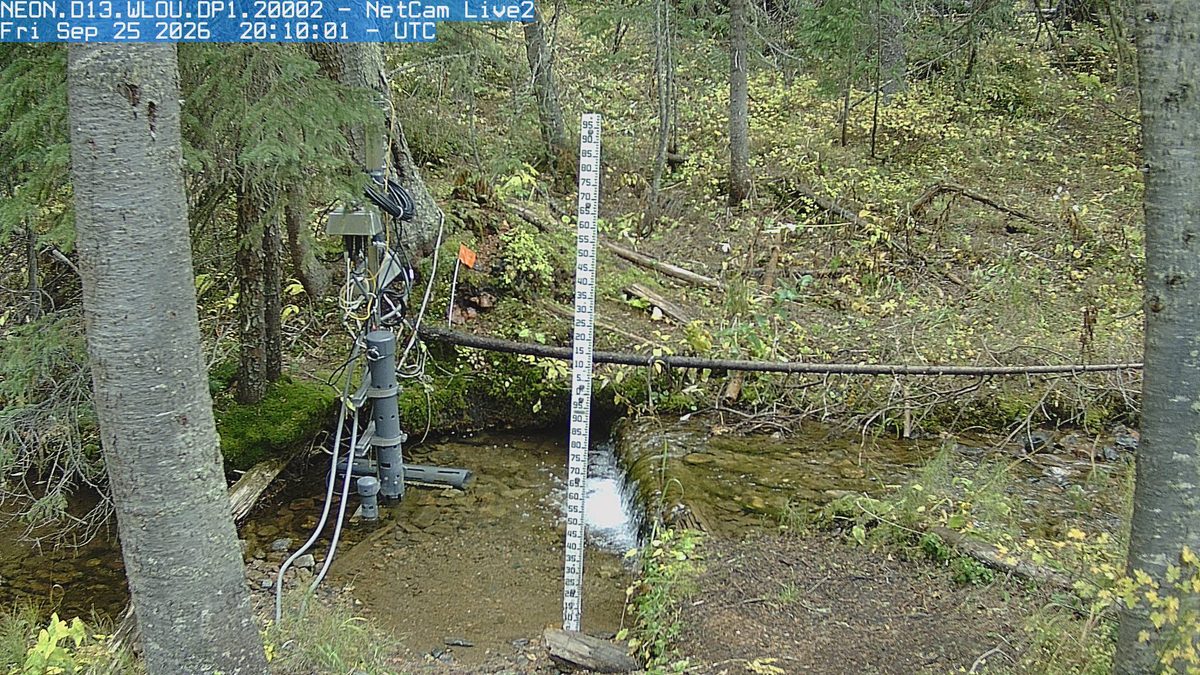 The latest daylight frame from the NEON.D13.WLOU.DP1.20002 camera, 20 km from Ptarmigan Peak Wilderness