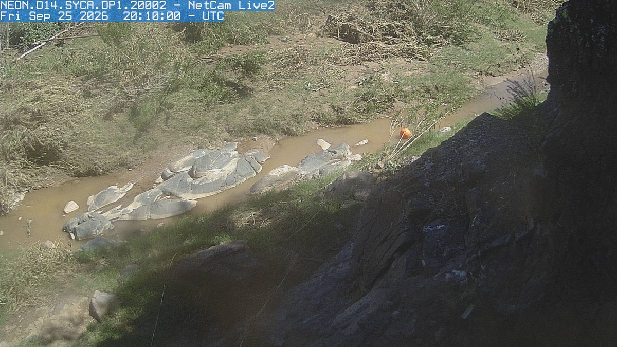 Today from the NEON.D14.SYCA.DP1.20002 camera, 26 km from Tonto National Forest
