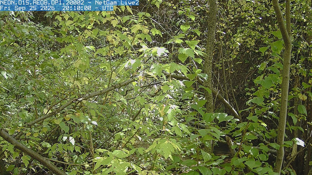 The latest daylight frame from the NEON.D15.REDB.DP1.20002 camera, 15 km from Twin Peaks Wilderness
