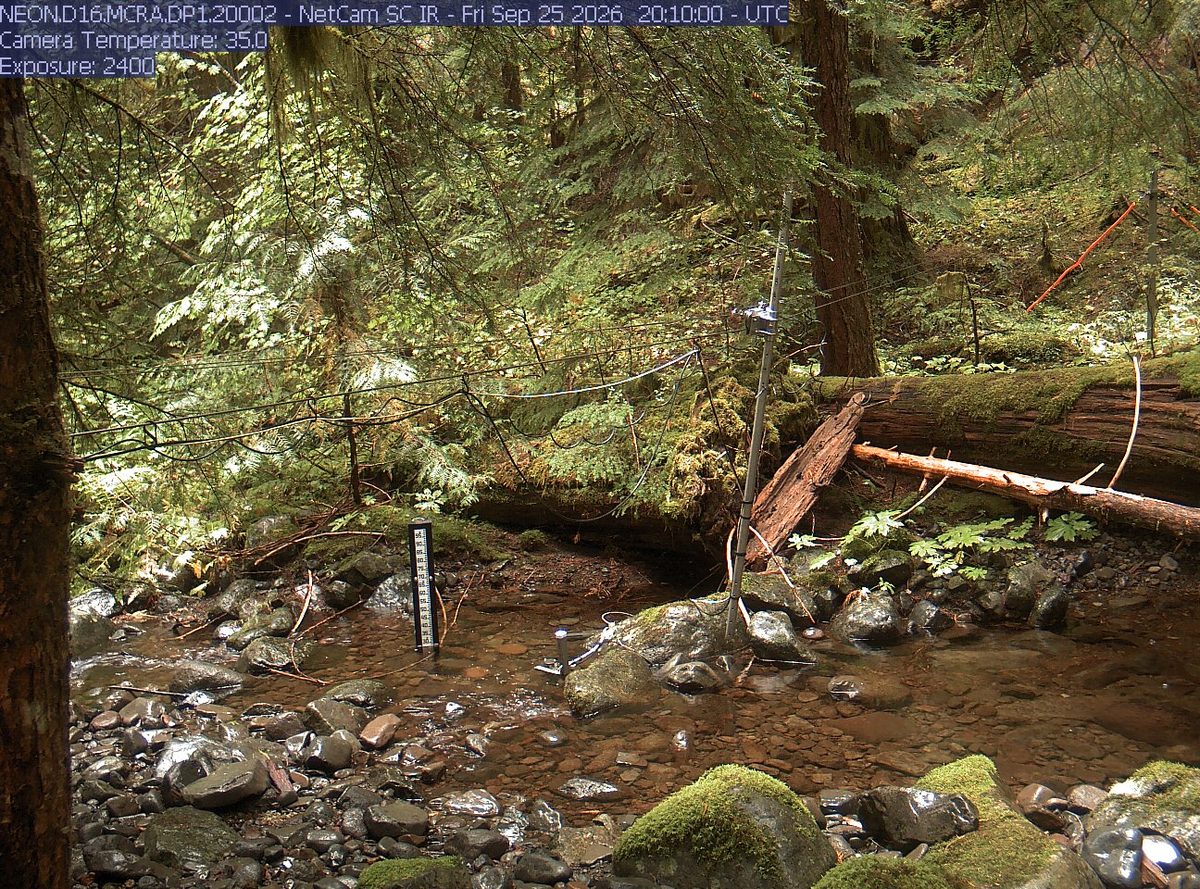 The latest daylight frame from the NEON.D16.MCRA.DP1.20002 camera, 17 km from Willamette National Forest