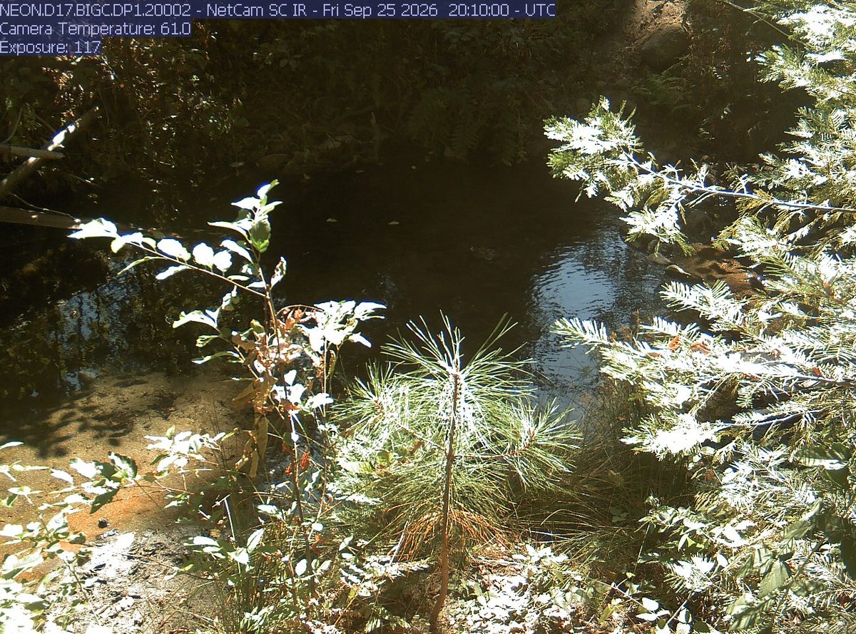 Today from the NEON.D17.BIGC.DP1.20002 camera, 26 km from Sierra National Forest