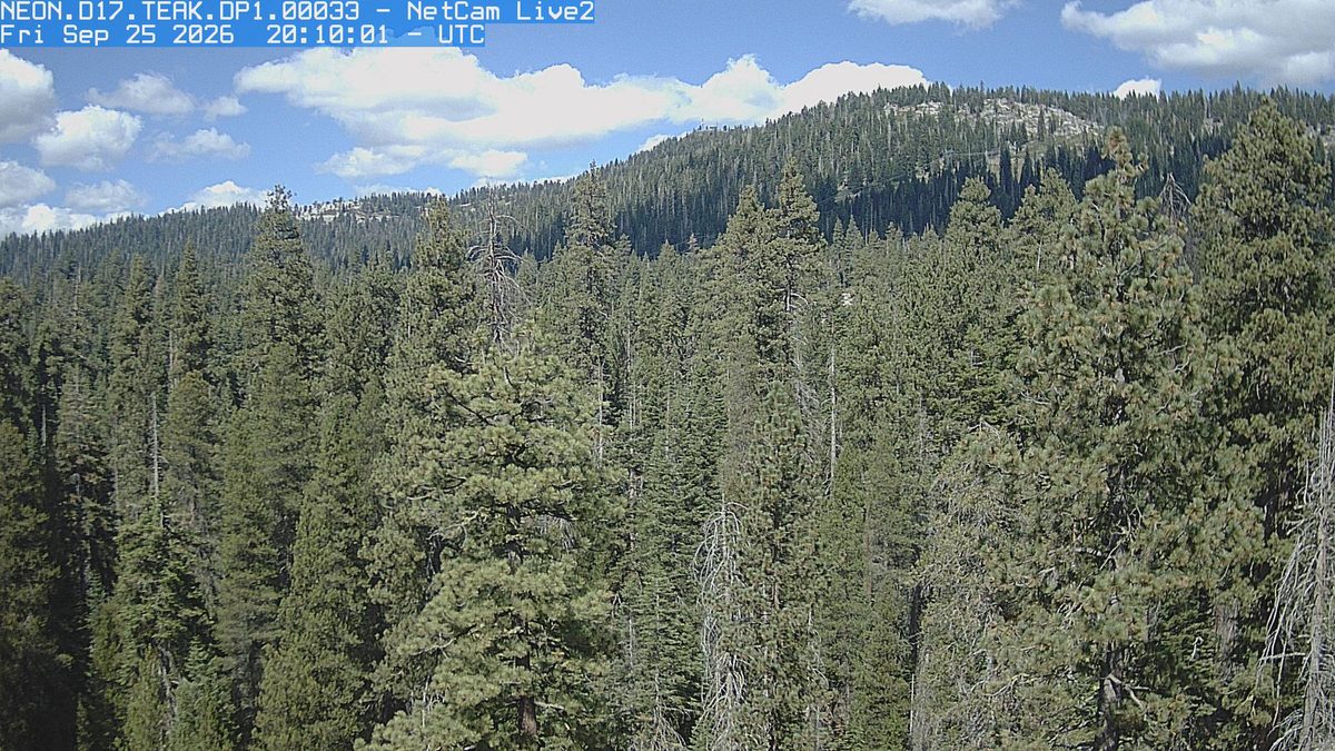 Today from the NEON.D17.TEAK.DP1.00033 camera, 19 km from Dinkey Lakes Wilderness