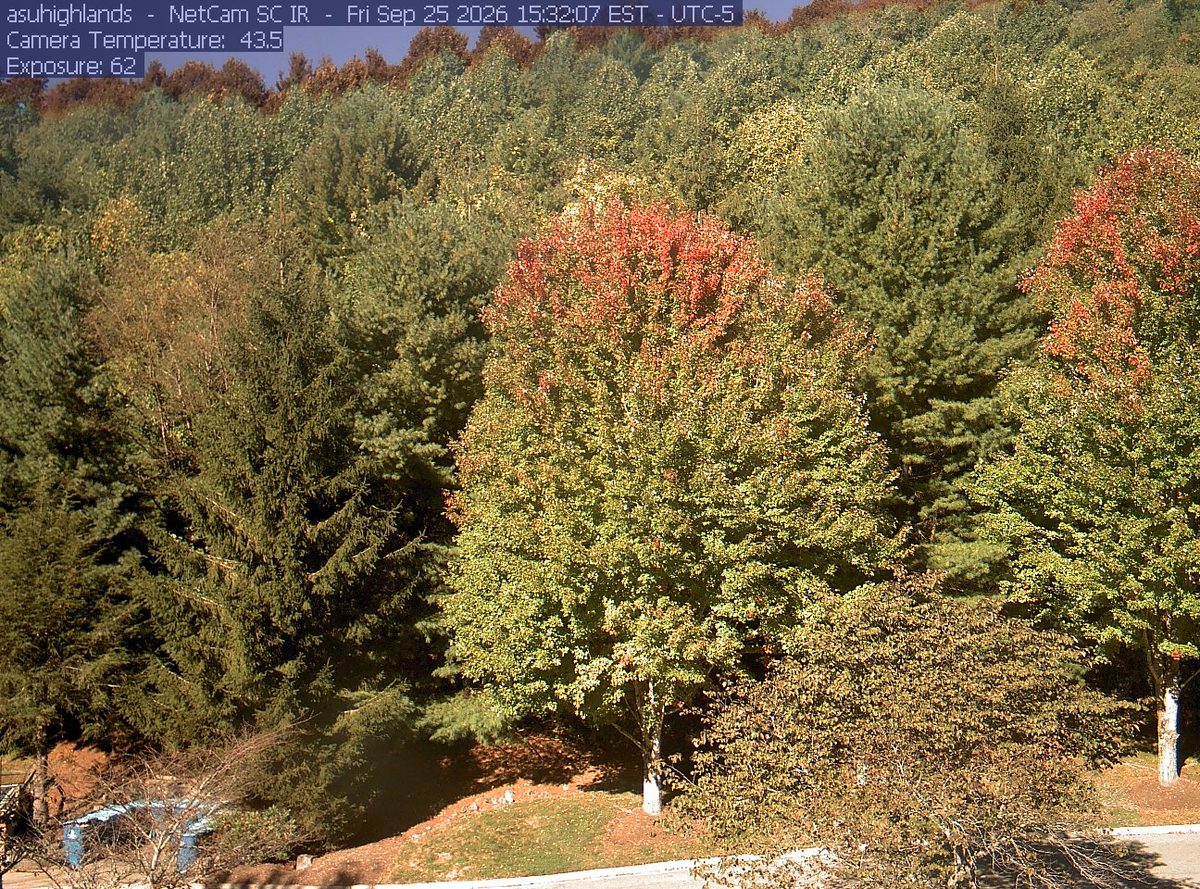 Today from the asuhighlands camera, 41 km from Blue Ridge Parkway