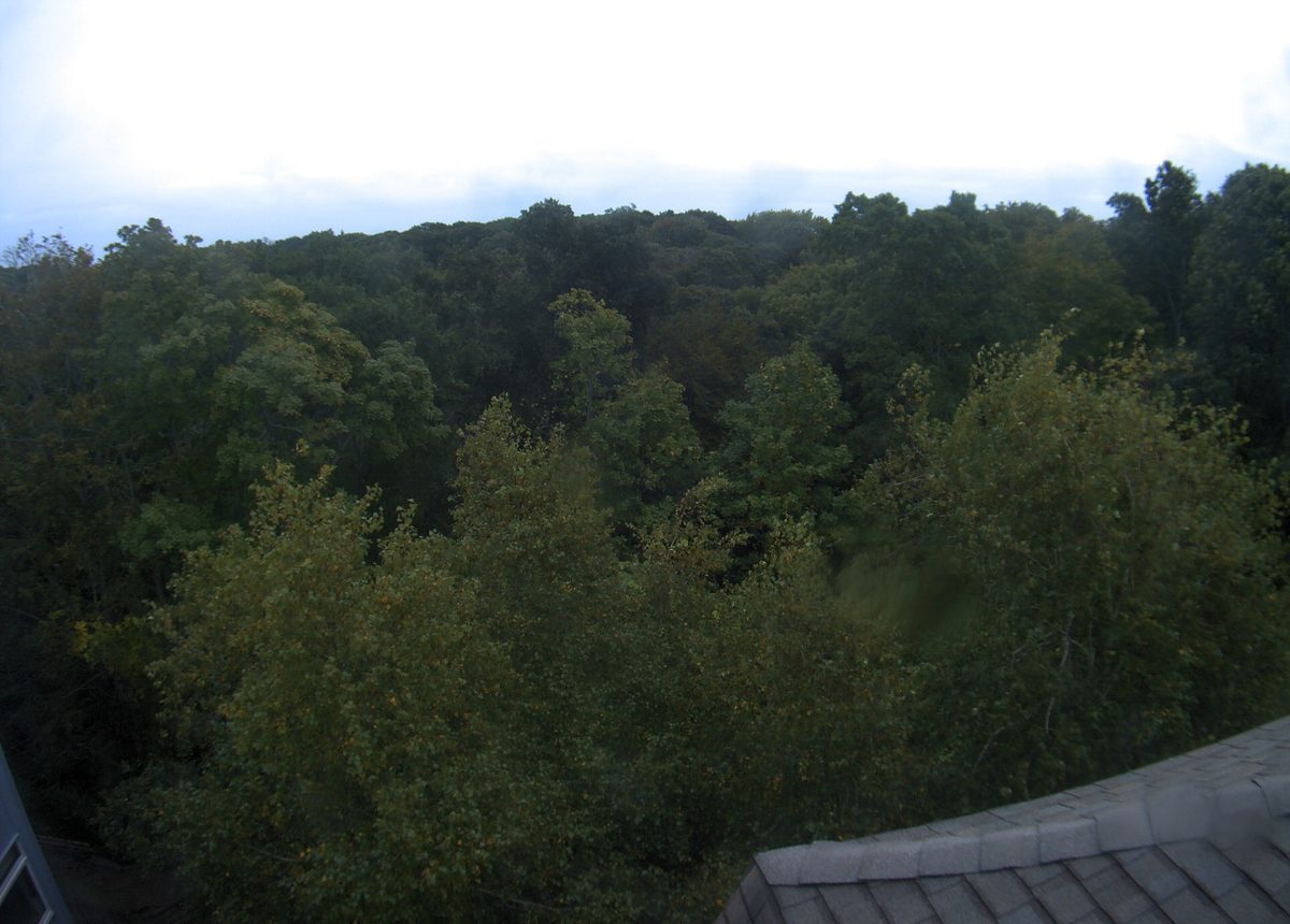 Today from the bbc5 camera, 54 km from Monomoy National Wildlife Refuge