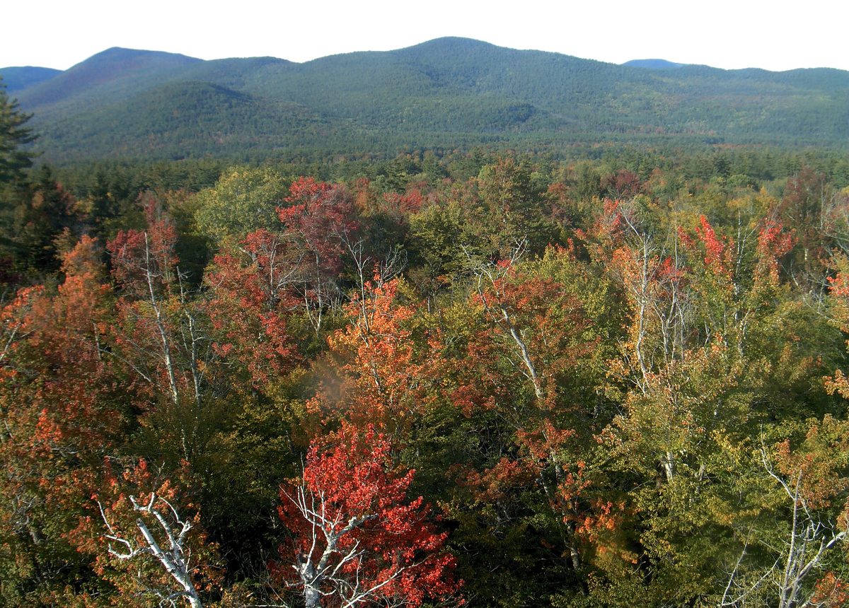 Today from the bbc7 camera, 13 km from Wild River Wilderness