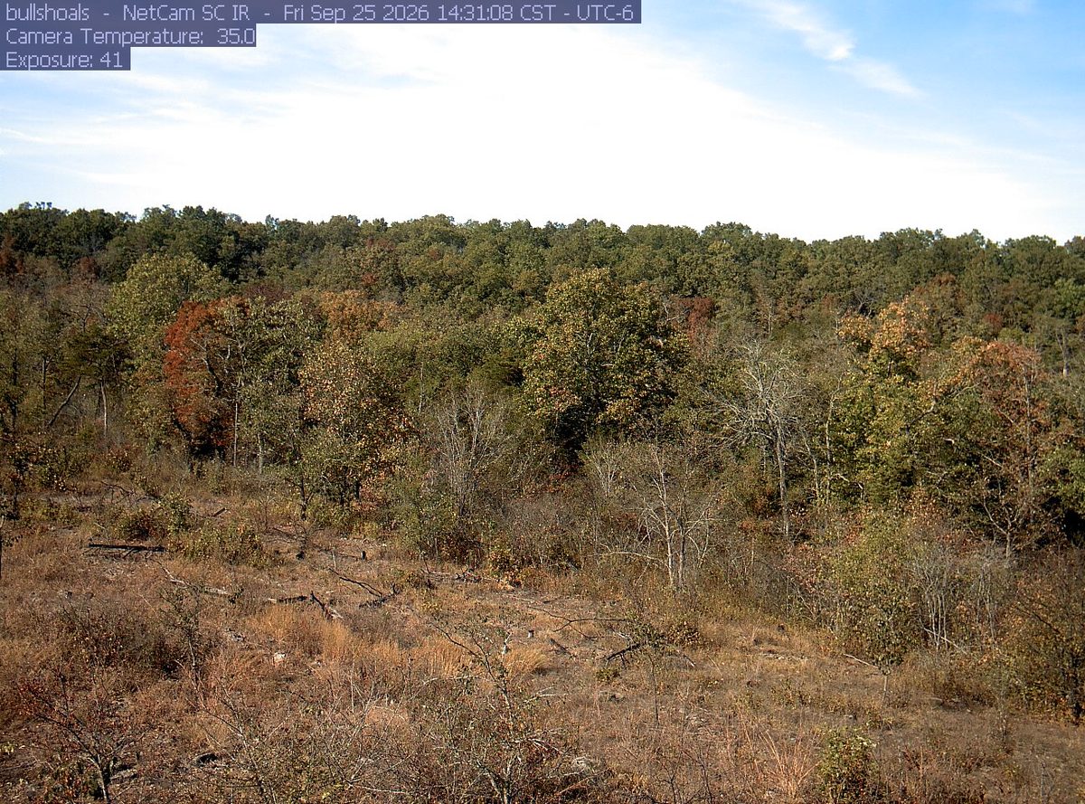 Today from the bullshoals camera, 19 km from Buffalo National River