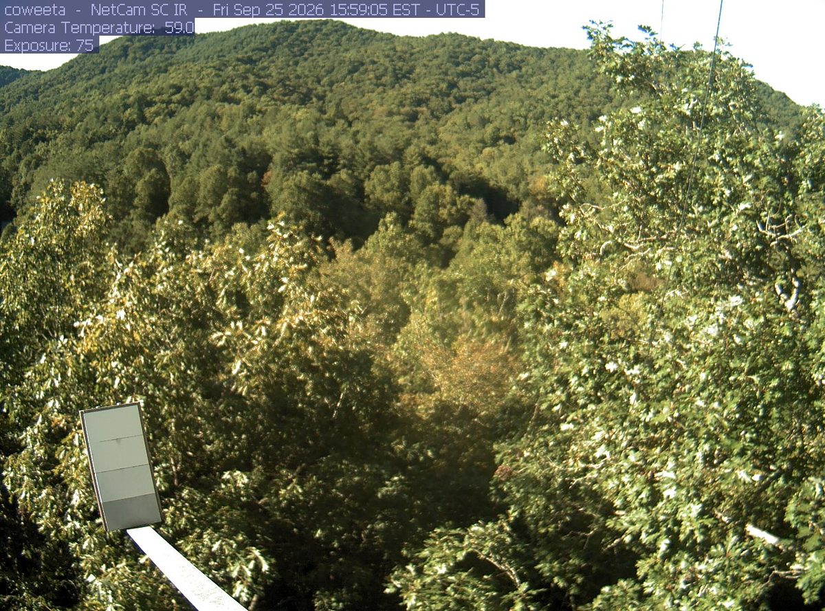 Today from the coweeta camera, 14 km from Mark Trail Wilderness