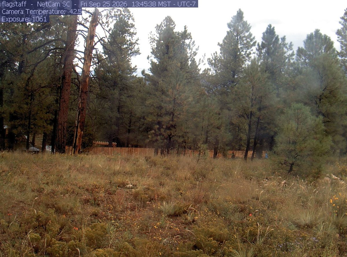 Today from the flagstaff camera, 31 km from Coconino National Forest