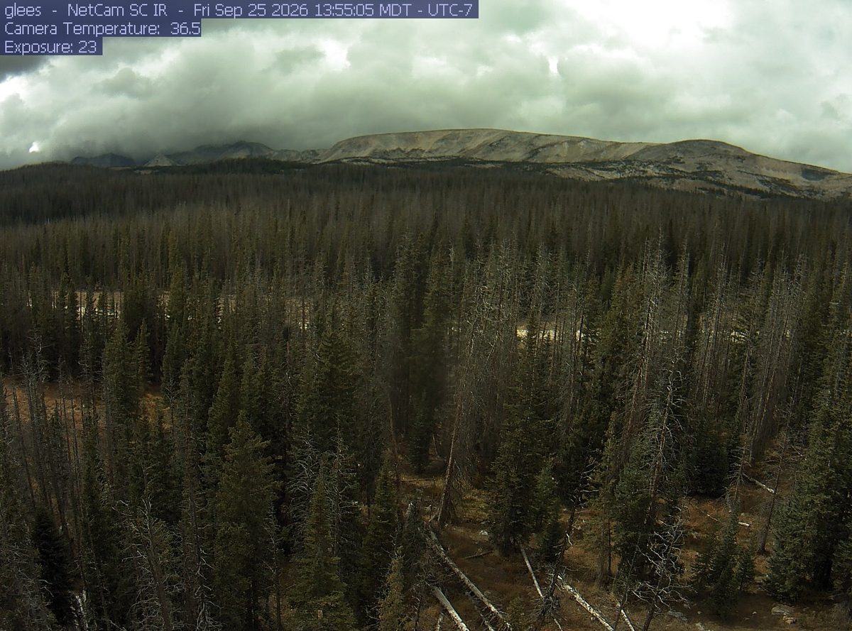 Today from the glees camera, 5 km from Platte River Wilderness