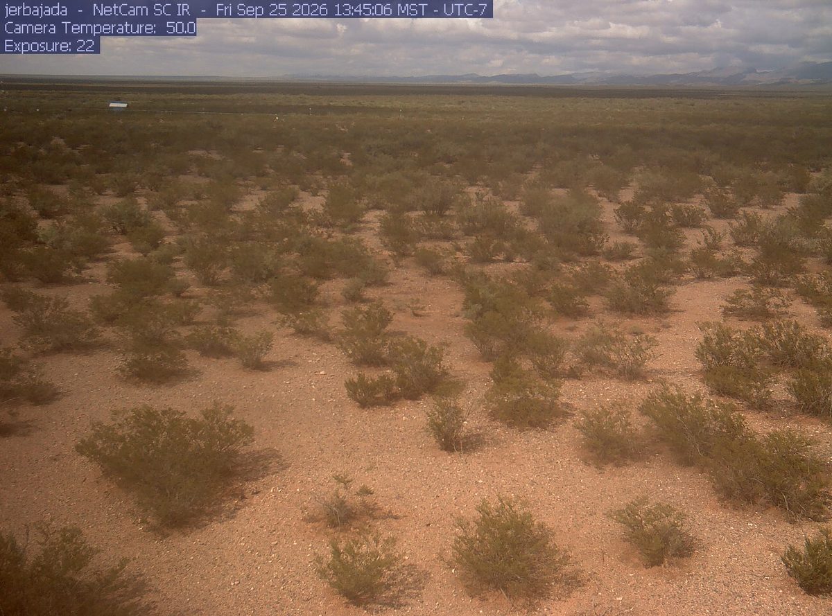 Today from the jerbajada camera, 36 km from White Sands National Park