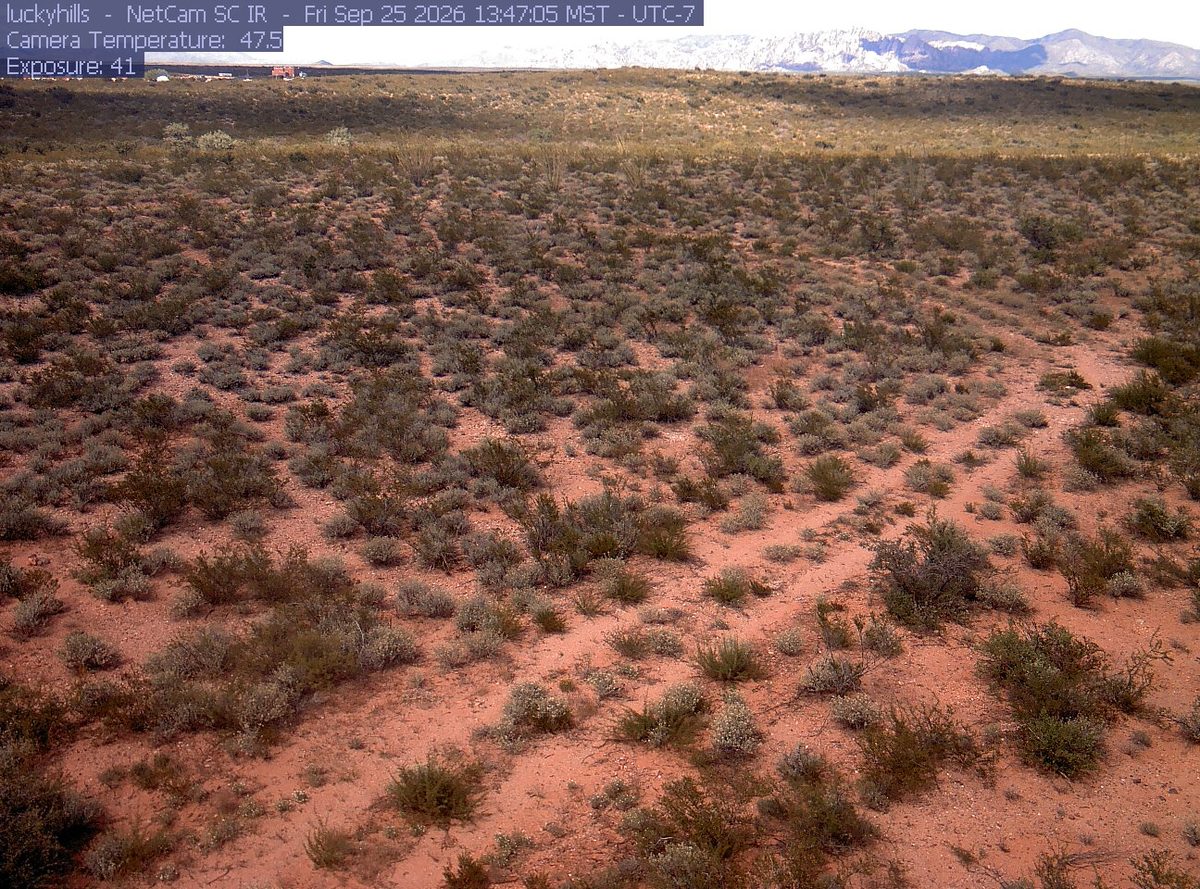 Today from the luckyhills camera, 33 km from Coronado National Forest