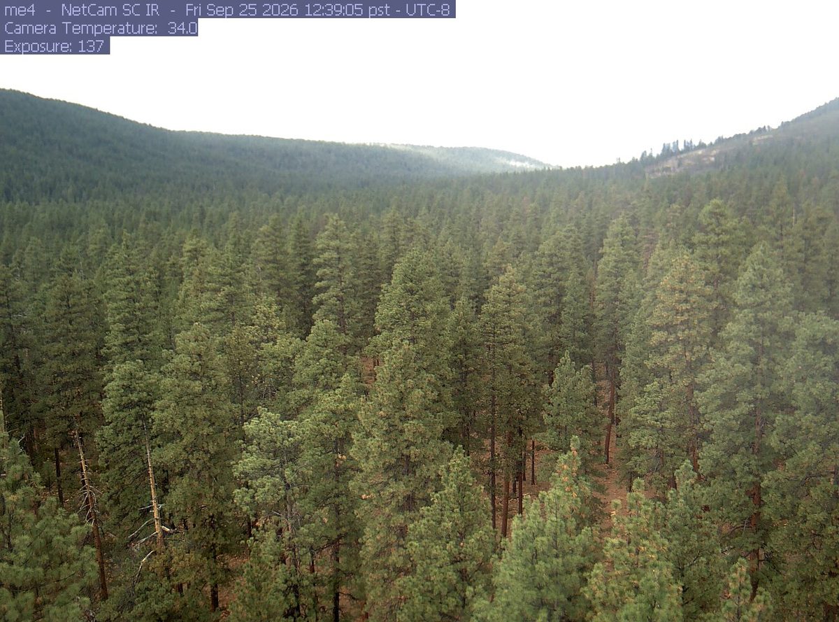 Today from the me4 camera, 20 km from Mount Jefferson Wilderness