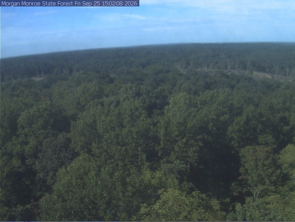 Today from the morganmonroe camera, 32 km from Charles C. Deam Wilderness