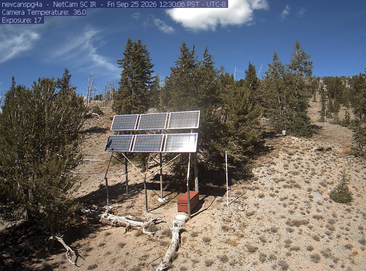 Today from the nevcanspg4a camera, 6 km from Desert Range Exp. Station Experimental Area