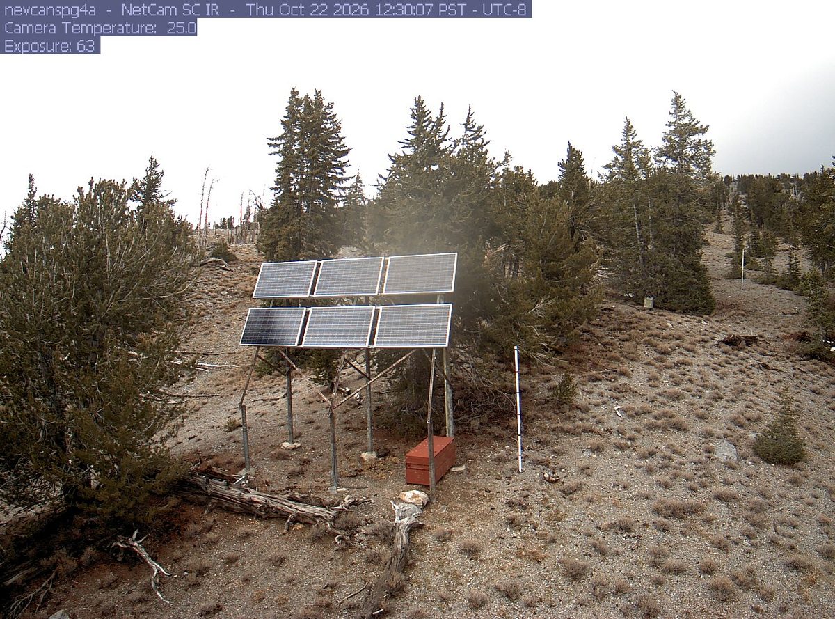 Today from the nevcanspg4a camera, 6 km from Great Basin National Park