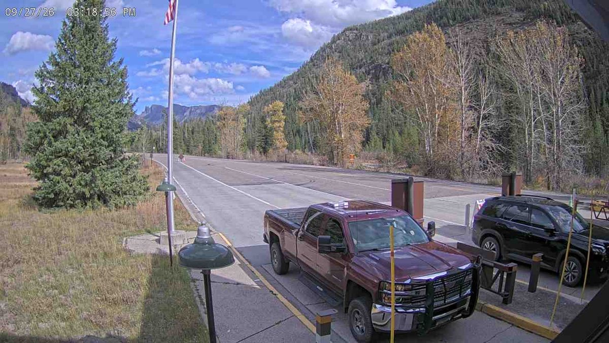 Today from the nps-yell-east-entrance-out-of-park camera, inside Yellowstone National Park
