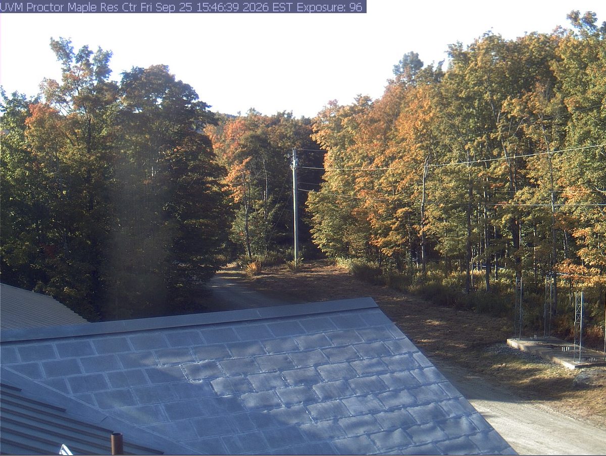 Today from the proctor camera, 57 km from Breadloaf Wilderness