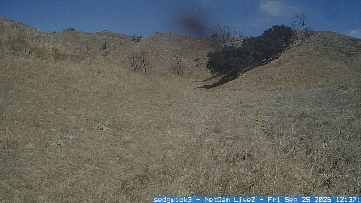 Today from the sedgwick3 camera, 37 km from Los Padres National Forest