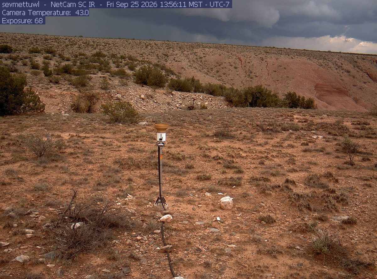 Today from the sevmettuwl camera, 40 km from Cibola National Forest