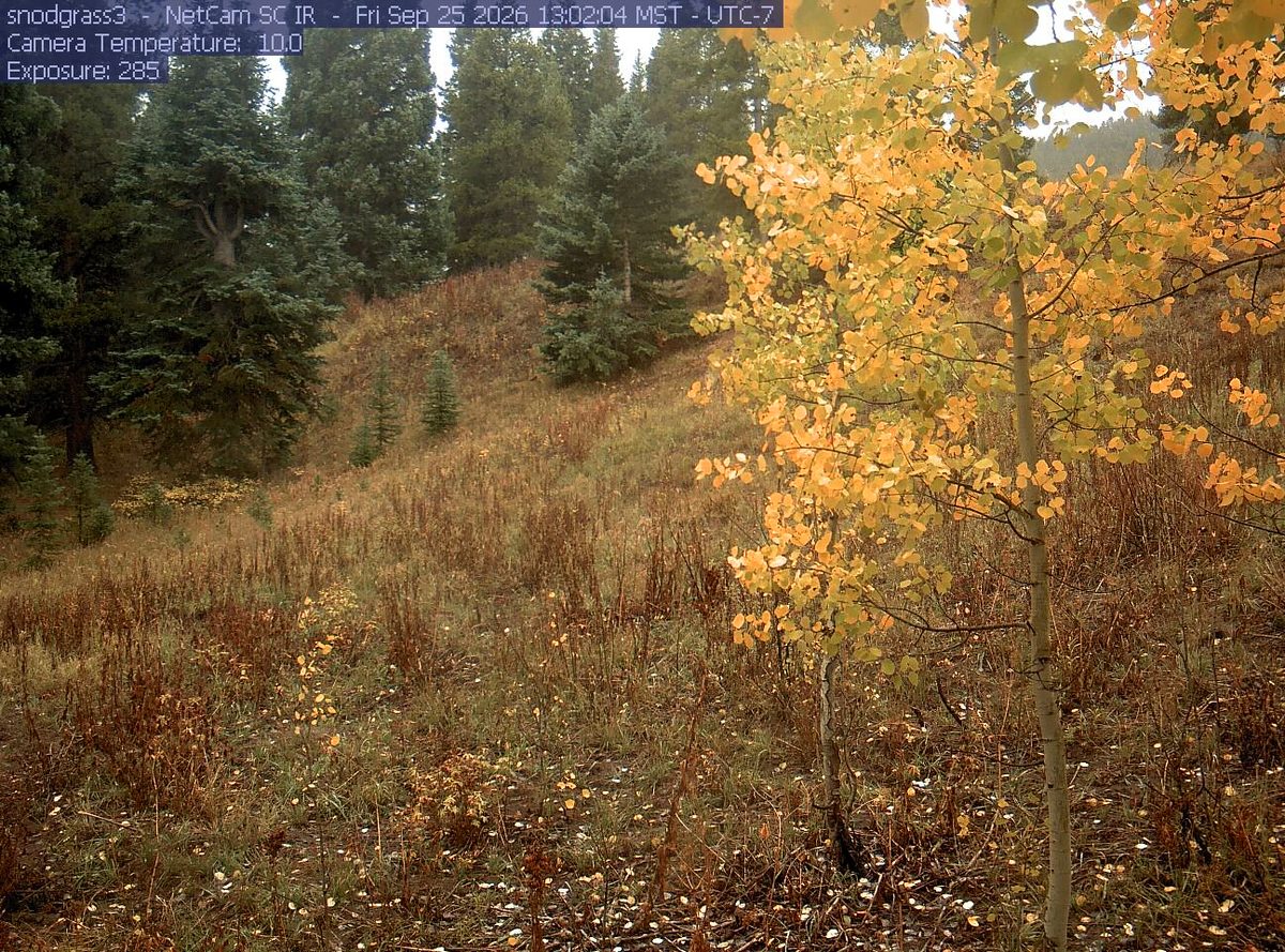 Today from the snodgrass3 camera, 19 km from Collegiate Peaks Wilderness