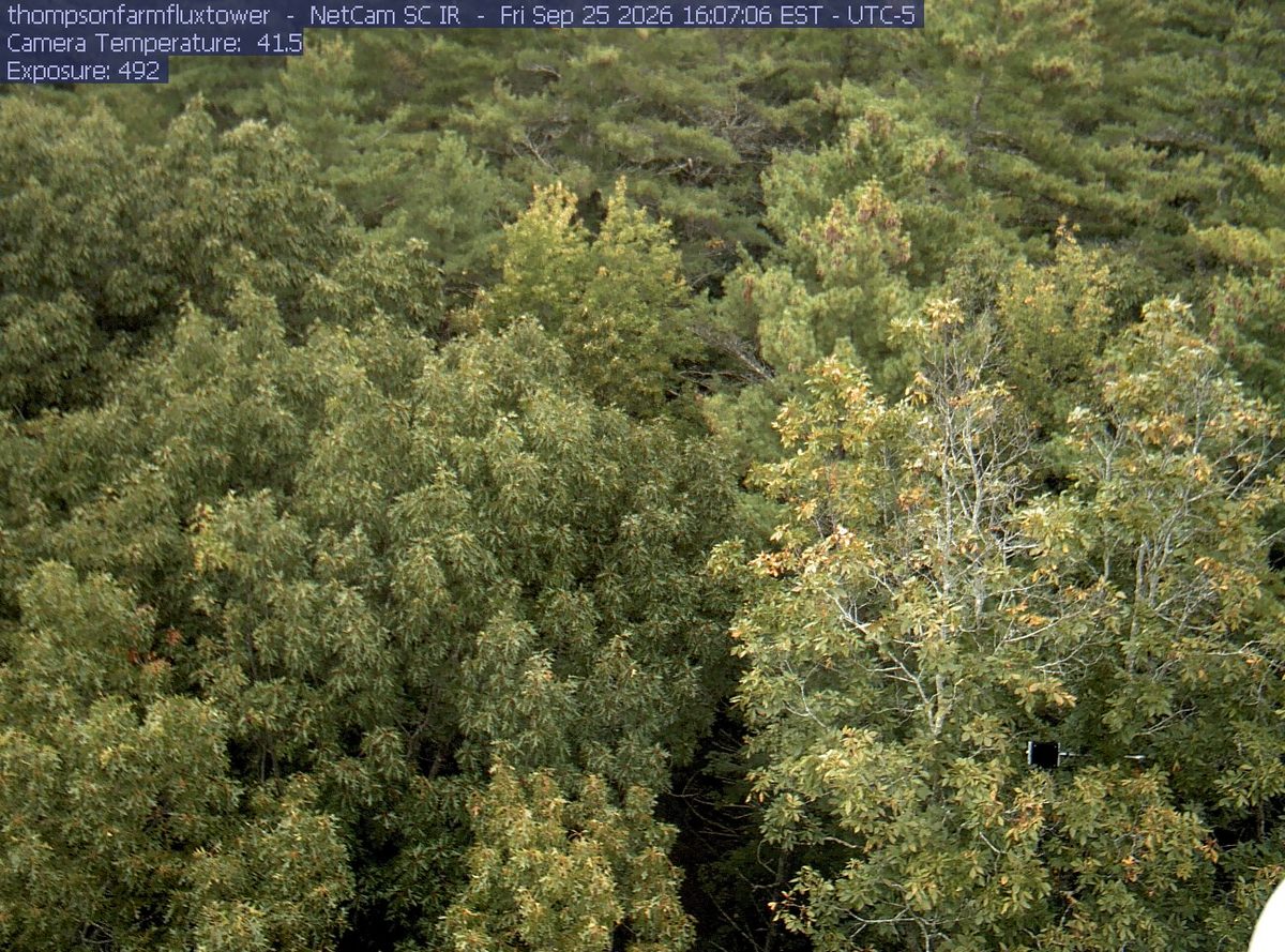 Today from the thompsonfarmfluxtower camera, 45 km from Rachel Carson National Wildlife Refuge