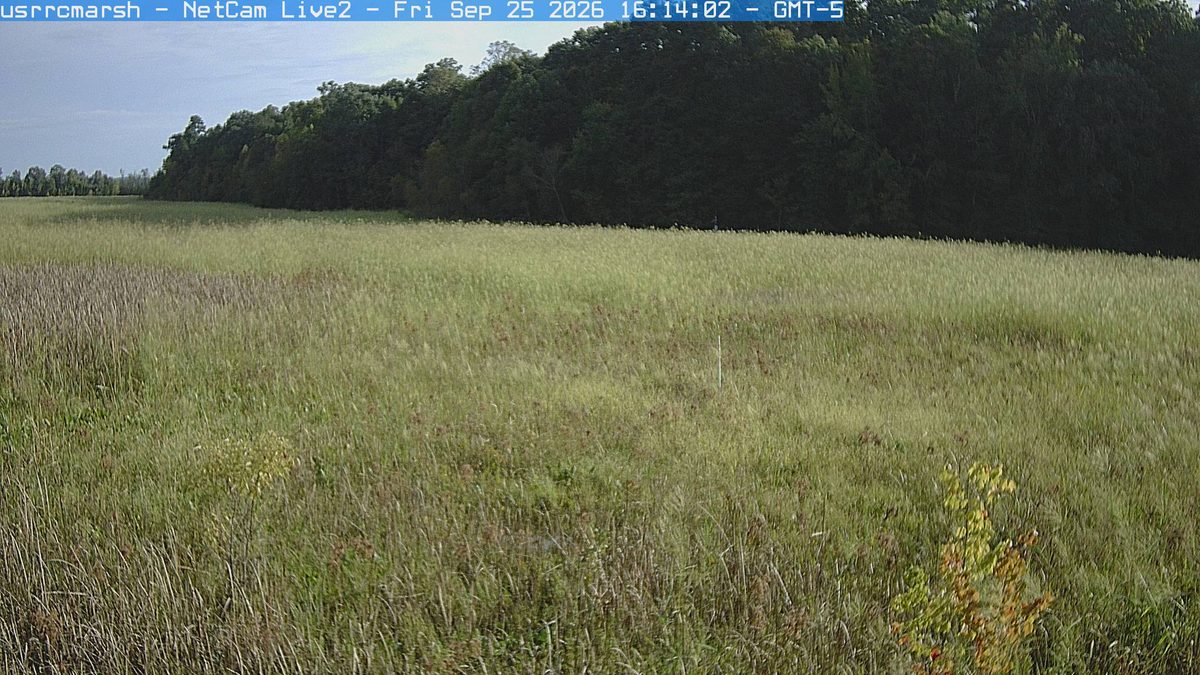 Today from the usrrcmarsh camera, 32 km from Petersburg National Battlefield Park
