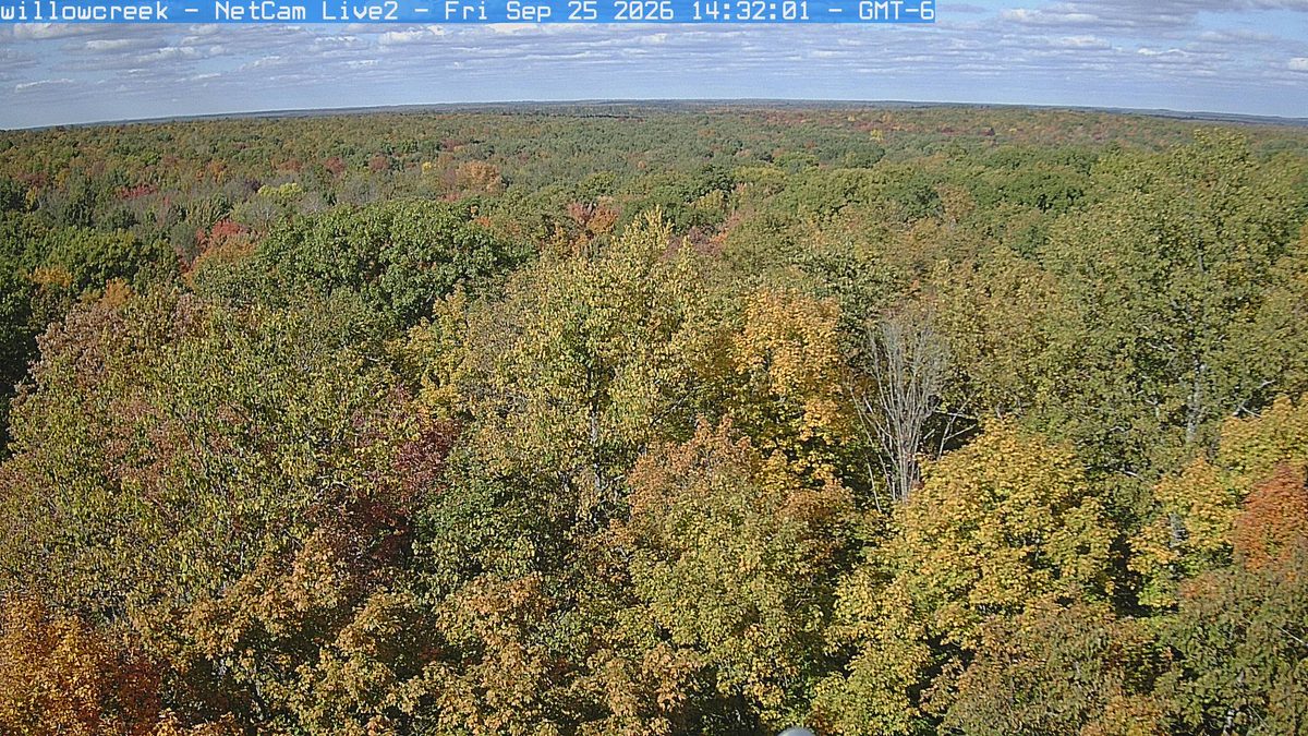 Today from the willowcreek camera, 16 km from Chequamegon-Nicolet National Forest